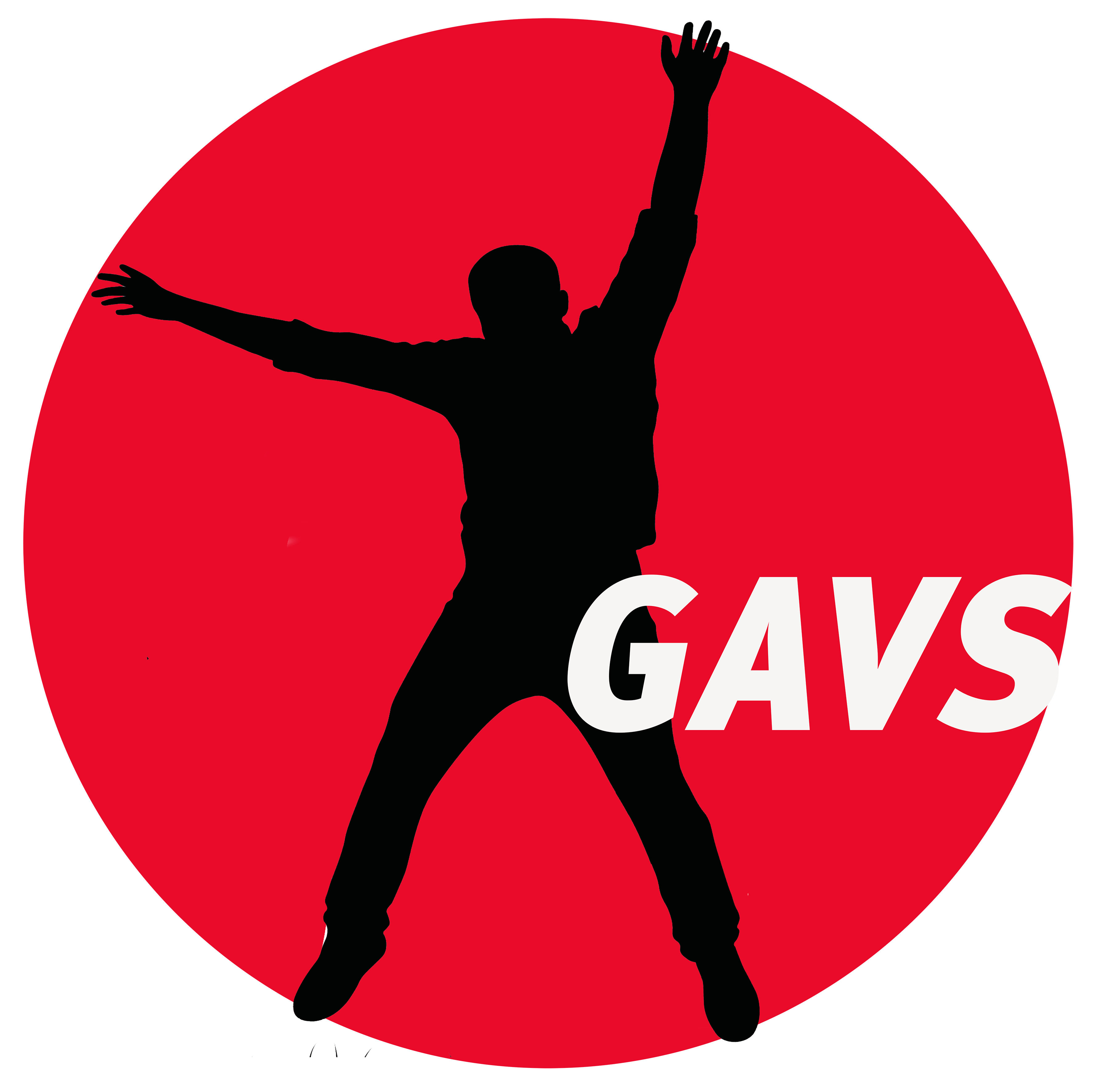 Logo GAVS